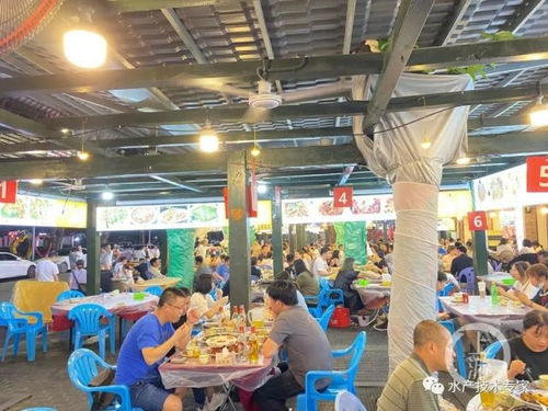 99元4斤 小龍蝦零售價賣不過批發價,是套路還是市場倒掛