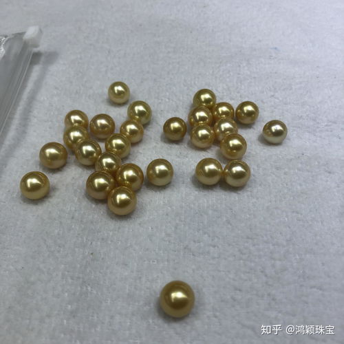 海水珍珠批發零售一手貨源,尋找下家