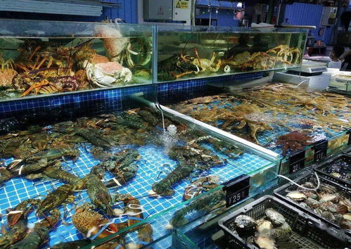長春 老牌批發市場 地圖來了,平價省錢又多樣