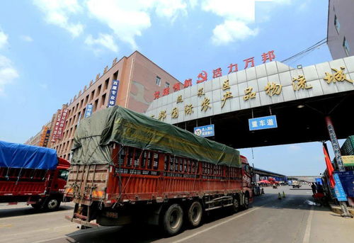 記者實地探訪萬邦農產品批發市場 菜籃子 拎得穩裝得滿,沒問題