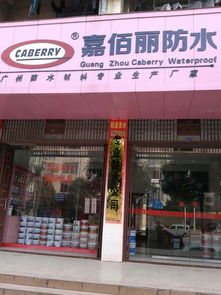 2分鐘快速堵漏王快速防水補漏