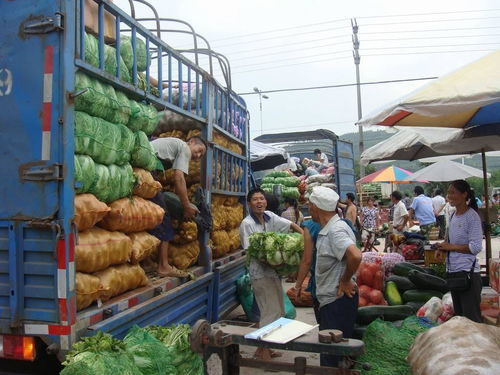 開市大吉 讀后感