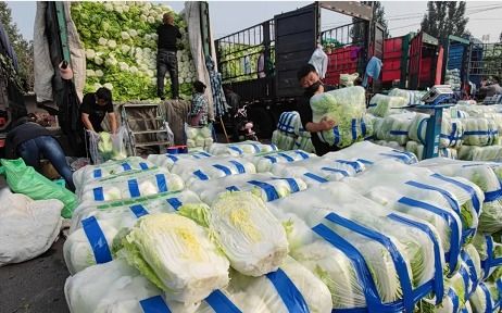 保供穩價 北京免除這些蔬菜和5種國產水果進場交易費