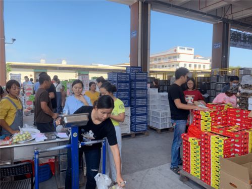 廈門最大 家門口的水果批發市場投用啦