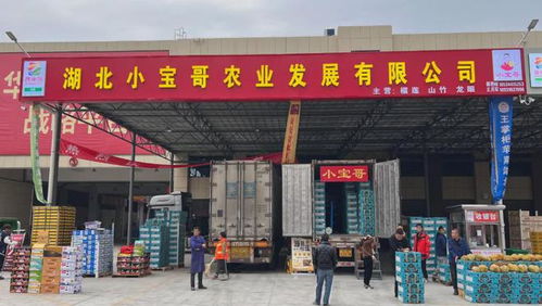愛吃榴蓮的孝感人,趕緊集合了