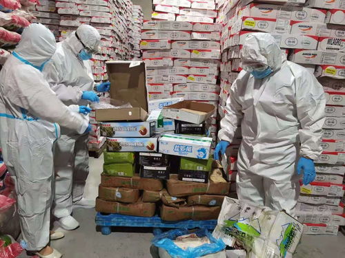 烏蘭察布市場監管局突擊檢查進口冷鏈食品批發點